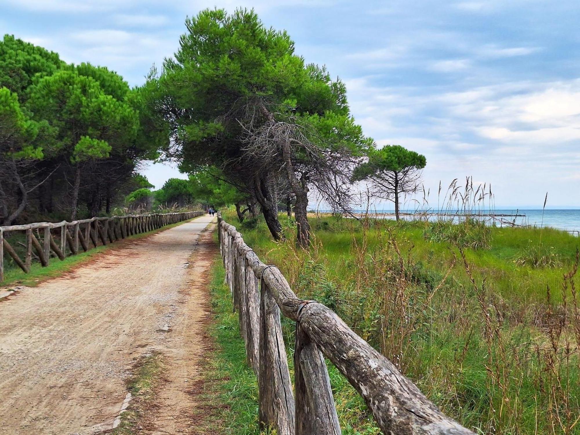 Beautiful Apartment Close To Bibione Beach - Beahost Eksteriør bilde