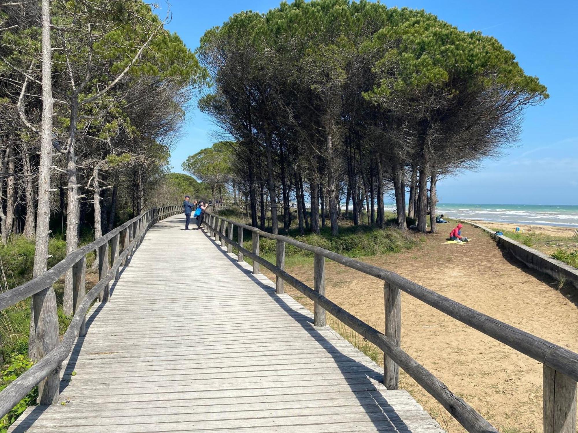 Beautiful Apartment Close To Bibione Beach - Beahost Eksteriør bilde